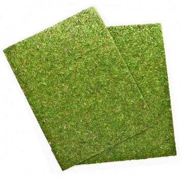 Фон моховий Repti-Zoo Natural Moss Back & Bottom 60x45см 2шт. (NCM6045)-3