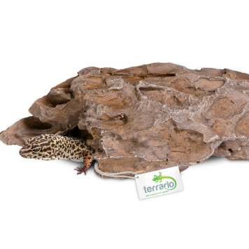 Декорація укриття Terrario Dragon Stone S 22x12x7см (22127)-2