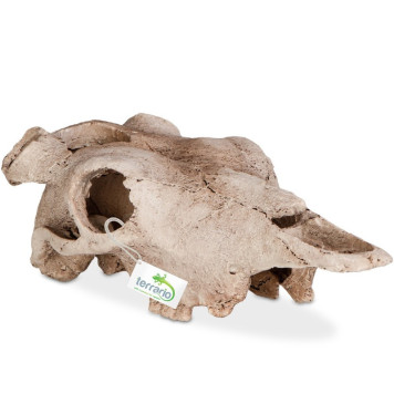 Декорація череп буйвола Terrario Buffalo Skull 21x12x8см (22128)-4