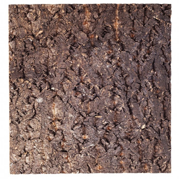 Фон з кори Repti-Zoo Big Tree Background 30х30 см (NCT10) для тераріуму