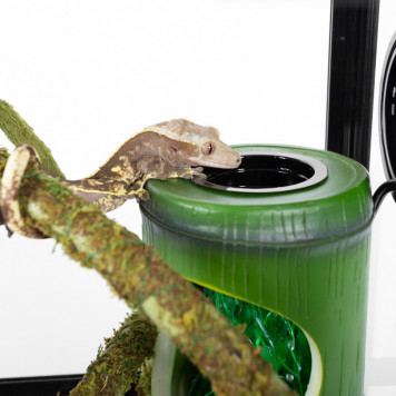 Фонтан для хамелеонів і геконів Repti-Zoo Bamboo (DF02)-2