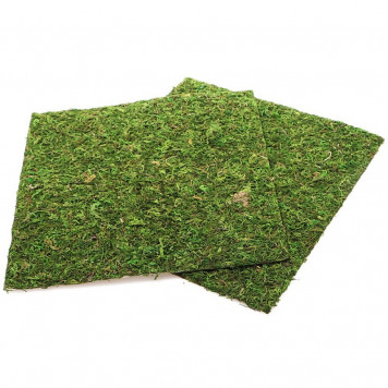 Фон з натурального моху Repti-Zoo Natural Moss Back & Bottom 30x30см 2 шт (NCM3030) для тераріуму-2