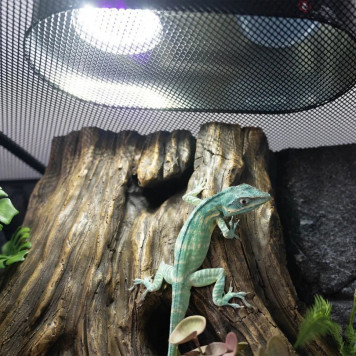 Лампа LED Repti-Zoo Desert and Tropical UVB 5.0 UVB 10.0 5W для тераріумів (LEDU04)-3