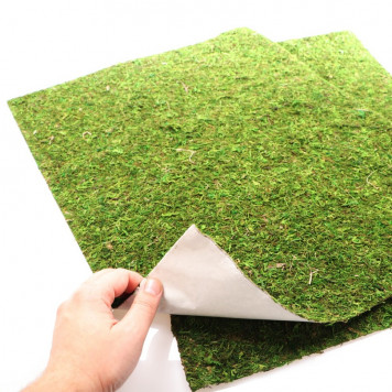 Фон з натурального моху Repti-Zoo Natural Moss Back & Bottom 50x25см 2 шт (NCM5025) для тераріуму-2