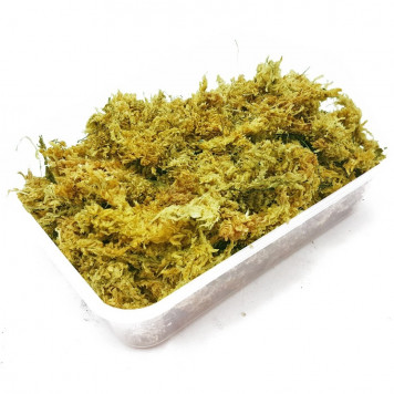 Сфагновий мох Repti-Zoo Sphagnum Moss 100 г (4,5 л) з Чилі для тераріумів і рослин-1