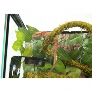 Ліана гнучка з натуральним мохом для тераріуму Repti-Zoo Artificial Moss Vine 1см x 2м (RV0210)-3