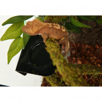 Ліана гнучка з натуральним мохом для тераріуму Repti-Zoo Artificial Moss Vine 2см x 2м (RV0220)-6