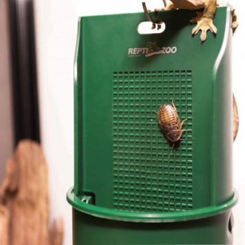 Підвісна годівниця для рептилій Repti-Zoo Arboreal Feeding Dish 20см (ERB28)-8