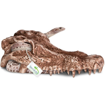 Декорація череп крокодила Terrario Crocodile Skull 30x14x9см (A15911)-4