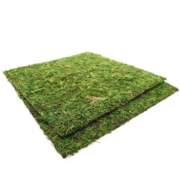 Фон з натурального моху Repti-Zoo Natural Moss Back & Bottom 30x30см 2 шт (NCM3030) для тераріуму-3