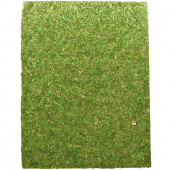 Фон з натурального моху Repti-Zoo Natural Moss Back & Bottom 50x25см 2 шт (NCM5025) для тераріуму