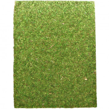 Фон з натурального моху Repti-Zoo Natural Moss Back & Bottom 50x25см 2 шт (NCM5025) для тераріуму