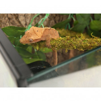Ліана гнучка з натуральним мохом для тераріуму Repti-Zoo Artificial Moss Vine 1,5см x 2м (RV0215)-4