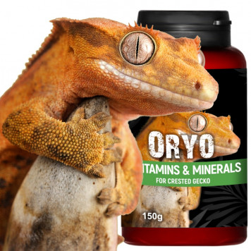 Вітаміни для війкового гекона бананаїда Terrario ORYO for Crested Gecko 150г-1