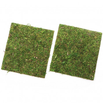 Фон з натурального моху Repti-Zoo Natural Moss Back & Bottom 20×20см 2 шт (NCM2020) для тераріуму-3