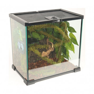 Ліана гнучка з натуральним мохом для тераріуму Repti-Zoo Artificial Moss Vine 1см x 2м (RV0210)-9
