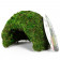 Укрытие из мха Repti-Zoo Natural Mossy Dome S 11x10 (ERS25S)
