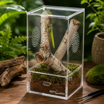 Террариум акриловый Repti-Zoo Easy Clean Acrylic ACR46 10×10×20 см для насекомых, пауков-5