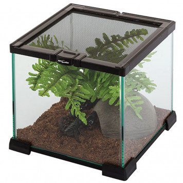 Тераріум Repti-Zoo 21x21x15см (AK01BG)-3