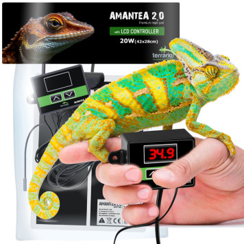 Нагрівальний мат з термостатом Terrario Amantea 2.0 20W 42x28см-3