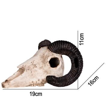 Декорація череп барана Terrario Ram Skull 19x16x11см (191712)-1