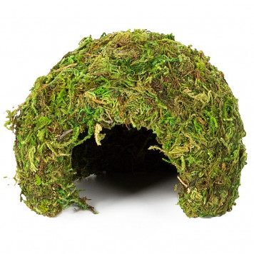 Укрытие из мха Repti-Zoo Natural Mossy Dome S 11x10 (ERS25S)-2