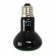 Нічна лампа з підігрівом Repti-Zoo Moonlight Heat 50W для рептилій та амфібій без UVA (D63050)