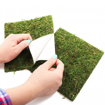 Фон з натурального моху Repti-Zoo Natural Moss Back & Bottom 30x30см 2 шт (NCM3030) для тераріуму-5