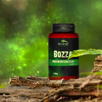 Кальцій з вітаміном D3 для рептилій Terrario Bozza Calcium with D3-1