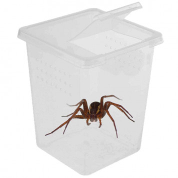 Тераріум, фаунаріум Terrario Insect Box High 9x9x11см-2