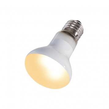 Лампа точкового нагріву Repti-Zoo Beam Spot 60W (RZ-BS63060)-3