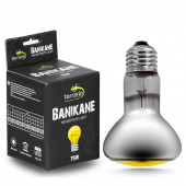 Неодимова лампа Terrario Banikane Neodymium Light 75W – обігрівальна UVA лампа для тераріуму