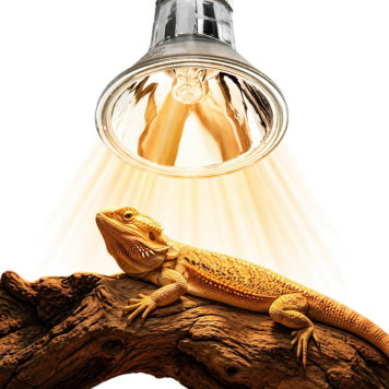 Галогенна лампа UVA Terrario Nadara Pro 25W E27 для тераріуму-1