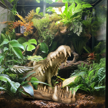 Декорація череп крокодила Terrario Crocodile Skull XL 23x11x16см (251115)-3