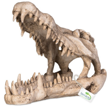 Декорація череп крокодила Terrario Crocodile Skull XL 23x11x16см (251115)-4