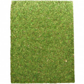 Фон моховий Repti-Zoo Natural Moss Back & Bottom 60x45см 2шт. (NCM6045)