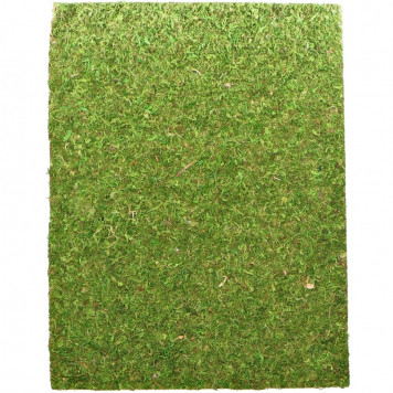 Фон моховий Repti-Zoo Natural Moss Back & Bottom 60x45см 2шт. (NCM6045)