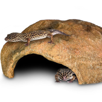 Декорація пещера Terrario Gecko Cave L 27x22x9см (292410)-3