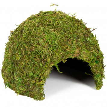 Схованка з моху Repti-Zoo Natural Mossy Dome L 22x17см ERS25L для тераріуму, рептилій і геконів, з живим мохом-3