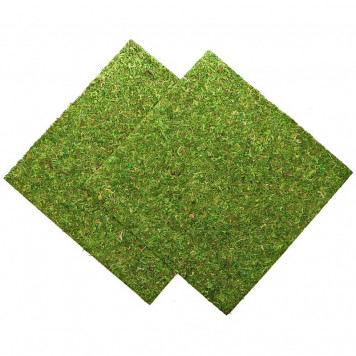 Фон з натурального моху Repti-Zoo Natural Moss Back & Bottom 45x45см 2 шт (NCM4545) для тераріуму-1