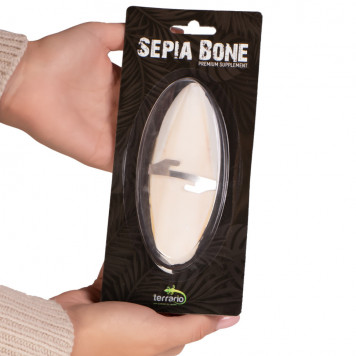 Сепія для черепах, природний вапняк для рептилій Terrario Sepia Bone 10-15см-2