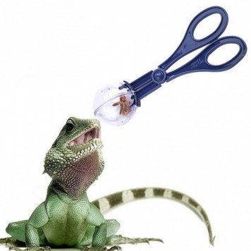 Інструмент для вилову кормових комах Terrario Cricket Catcher-3