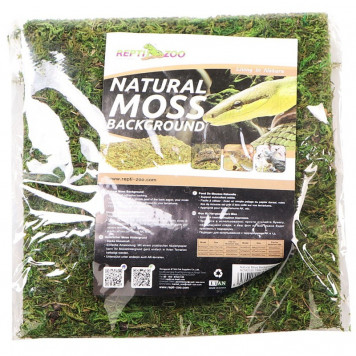 Фон з натурального моху Repti-Zoo Natural Moss Back & Bottom 20×20см 2 шт (NCM2020) для тераріуму-2