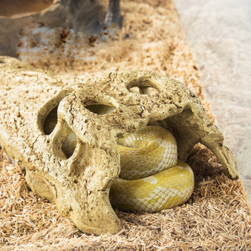 Крокодилячий череп Repti-Zoo Crocodile Skull M ERS34S 11x6x4 см - декоративне укриття для тераріуму та акваріуму-4