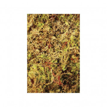 Живий мох Komodo Habitat Moss 1,5 л для тераріуму, амфібій та рептилій (83003)-2