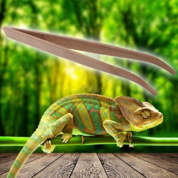 Бамбуковий вигнутий пінцет Repti-Zoo 28 см (FR09) для годування і догляду в тераріумі-5