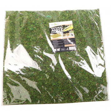 Фон з натурального моху Repti-Zoo Natural Moss Back & Bottom 45x45см 2 шт (NCM4545) для тераріуму-3