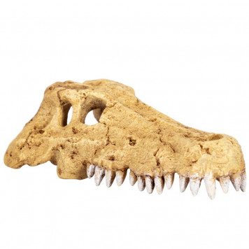Крокодилячий череп Repti-Zoo Crocodile Skull M ERS34M 18×10×5,5 см - декоративне укриття для тераріуму та акваріуму-2