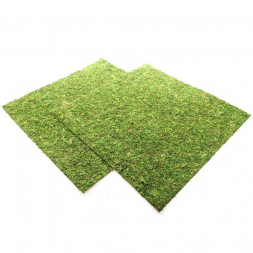 Фон з натурального моху Repti-Zoo Natural Moss Back & Bottom 45x45см 2 шт (NCM4545) для тераріуму-2