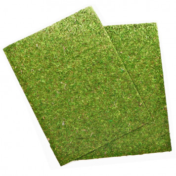 Фон з натурального моху Repti-Zoo Natural Moss Back & Bottom 50x25см 2 шт (NCM5025) для тераріуму-4